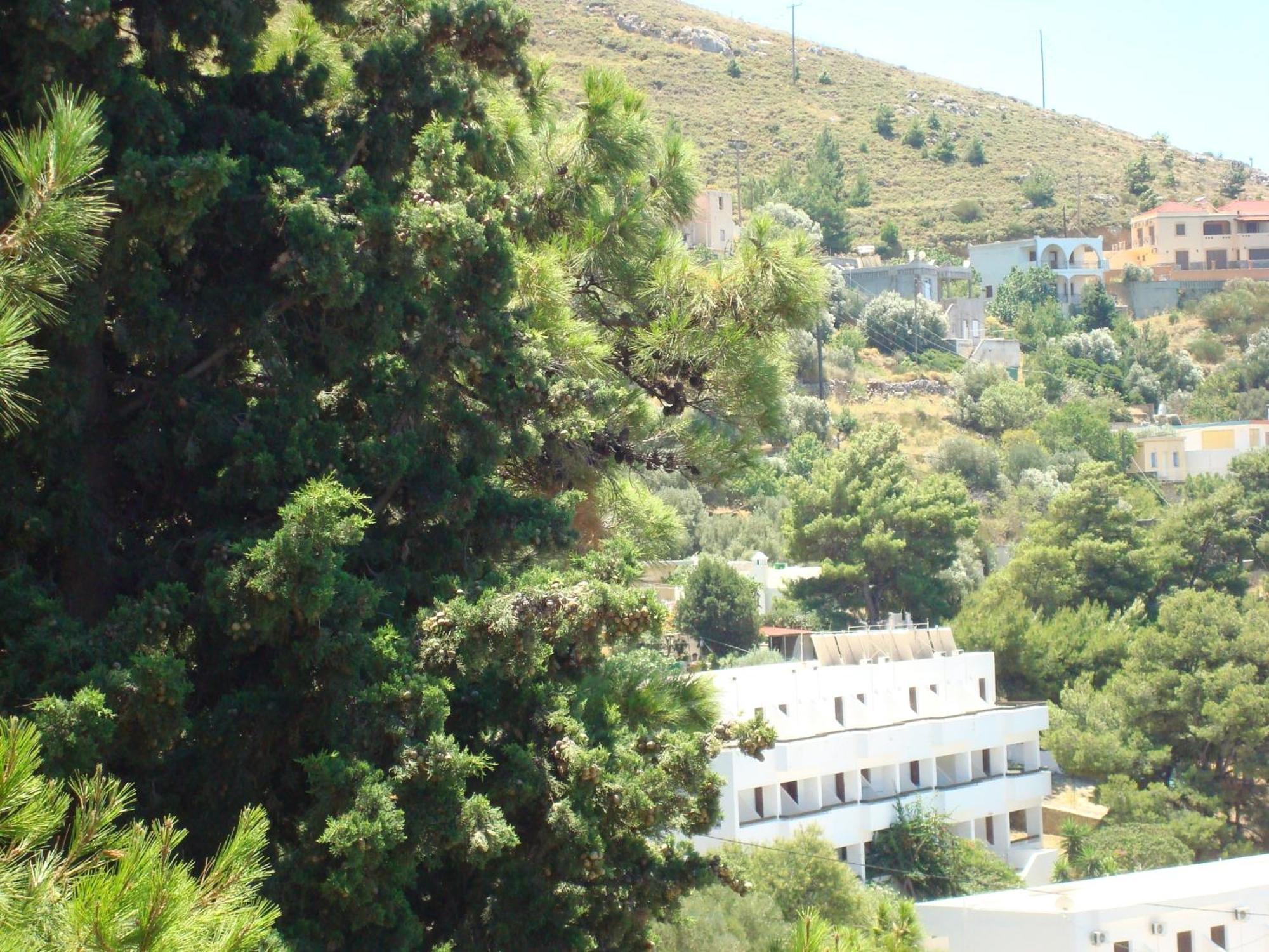 Pegasus Aparthotel Masouri Bagian luar foto