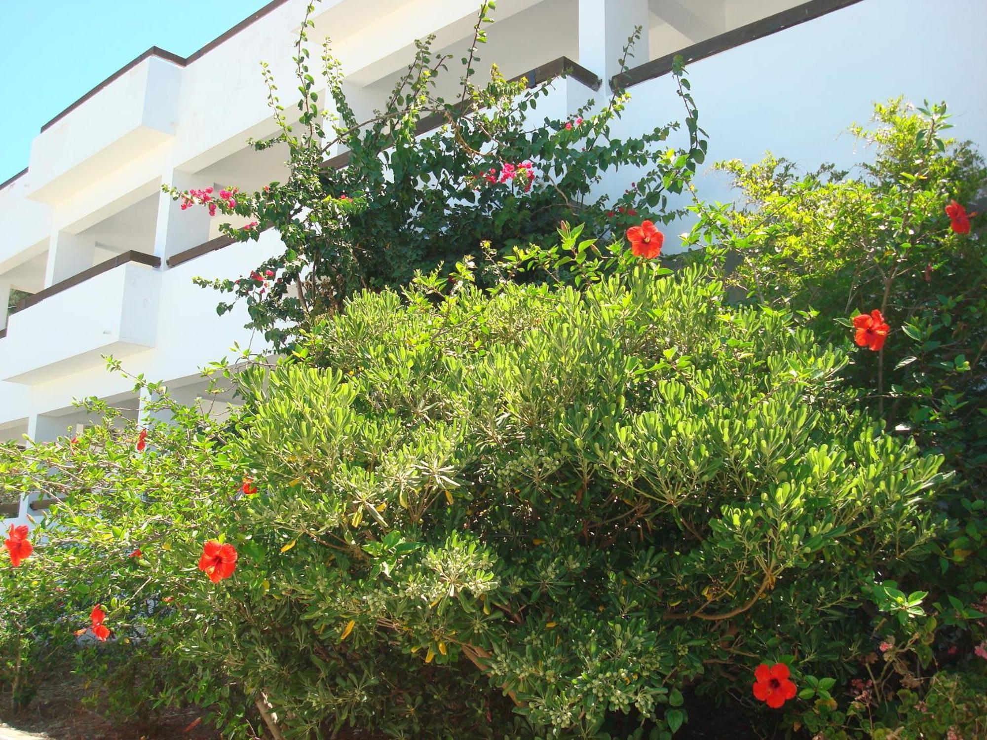 Pegasus Aparthotel Masouri Bagian luar foto
